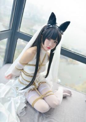 九首歌_HD免费电视剧